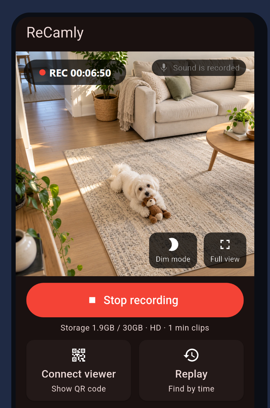 ReCamly recording screen